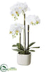 Silk Plants Direct Phalaenopsis Orchid Plant - White - Pack of 4