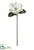 Magnolia Spray - White - Pack of 6