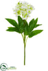 Silk Plants Direct Helleborus Spray - White - Pack of 12