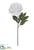 Velvet Peony Spray - White - Pack of 6