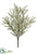 Astilbe Bush - White - Pack of 12