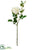 Rose Spray - White - Pack of 24