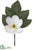 Velvet Magnolia Spray - White - Pack of 12