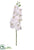 Phalaenopsis Orchid Spray - White - Pack of 6