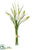 Muscari Bundle - White - Pack of 24