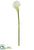 Calla Lily Spray - White - Pack of 12