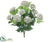 Queen Anne's Lace Bush - White - Pack of 12