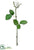 Rose Bud Spray - White - Pack of 12