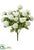 Rose Bush - Cream White - Pack of 12