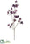 Dogwood Spray - Violet - Pack of 12