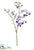 Sweetpea Spray - Purple Violet - Pack of 6