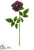 Camellia Spray - Wine - Pack of 12