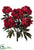 Peony Bush - Burgundy Wine - Pack of 6