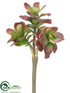 Silk Plants Direct Kalanchoe Pick - Burgundy - Pack of 24