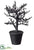 Glittered Plastic Twig Tree - Black - Pack of 6