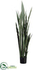 Silk Plants Direct Sansevieria Plant - Green Dark - Pack of 2