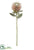 Protea Spray - Pink - Pack of 12