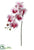 Phalaenopsis Orchid Spray - Pink - Pack of 12