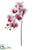 Phalaenopsis Orchid Spray - Pink - Pack of 12