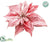 Velvet Poinsettia - Pink - Pack of 12