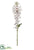 Foxglove Spray - White Pink - Pack of 12