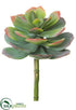 Silk Plants Direct Echeveria Spray - Green Pink - Pack of 6