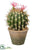 Silk Plants Direct Flowering Barrel Cactus - Green Pink - Pack of 6