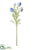 Nigella Spray - Blue - Pack of 12