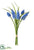 Muscari Bundle - Blue - Pack of 24