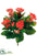 Kalanchoe Bush - Flame - Pack of 6