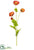 Poppy Spray - Flame - Pack of 12