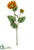 Sunflower Spray - Orange Flame - Pack of 12