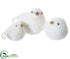 Silk Plants Direct Bird - White Glittered - Pack of 2