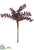 Sedum Pick - Plum - Pack of 24