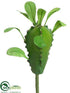 Silk Plants Direct Madagascar Pick - Green - Pack of 24