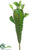 Madagascar Plant - Green - Pack of 12