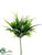 Curly Grass Pick - Green Two Tone - Pack of 36