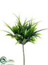 Silk Plants Direct Curly Grass Pick - Green Two Tone - Pack of 36