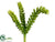 Hanging Sedum Bush - Green - Pack of 12