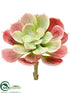 Silk Plants Direct Echeveria Pick - Green Burgundy - Pack of 24