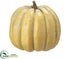 Silk Plants Direct Pumpkin Butterscotch - Butter Scotch - Pack of 2