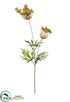 Silk Plants Direct Queen Anne's Lace Spray - Butter Scotch - Pack of 12