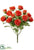 Rose Bush - Coral - Pack of 12