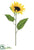 Sunflower Spray - Yellow Gold - Pack of 12