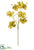 Metallic Dogwood Spray - Gold Gold - Pack of 12