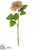 Dahlia Spray - Rose - Pack of 12