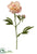 Peony Spray - Apricot Rose - Pack of 12