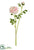 Silk Plants Direct Ranunculus Spray - Pink Soft - Pack of 12