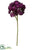 Sedum Spray - Eggplant - Pack of 24