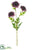 Aster Mum Spray - Eggplant - Pack of 12